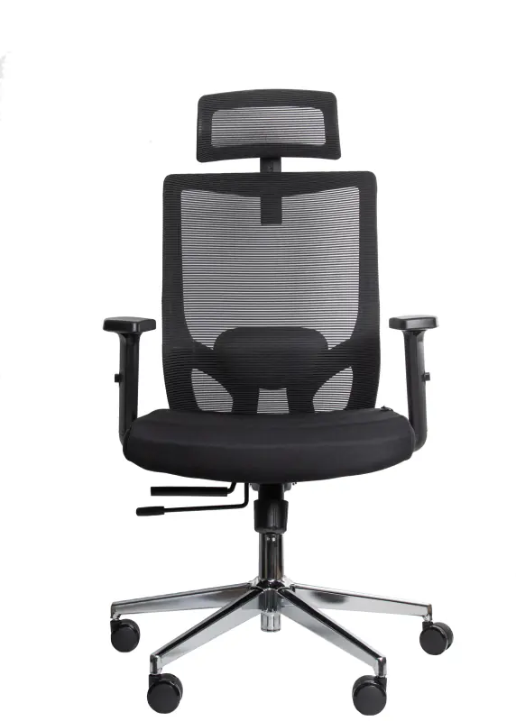 UGD Ergonomska kancelarijska stolica UGD Vista D94 - Glavna slika