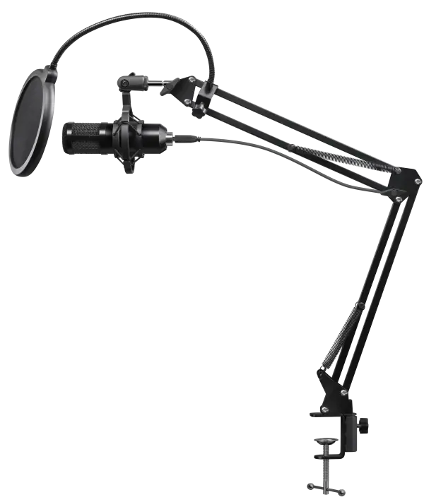 DEFENDER Gaming stream mikrofon Defender Space GMC450 - Slika proizvoda 2