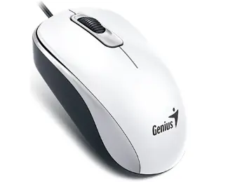 GENIUS DX-110 USB Optical beli miš - Glavna slika