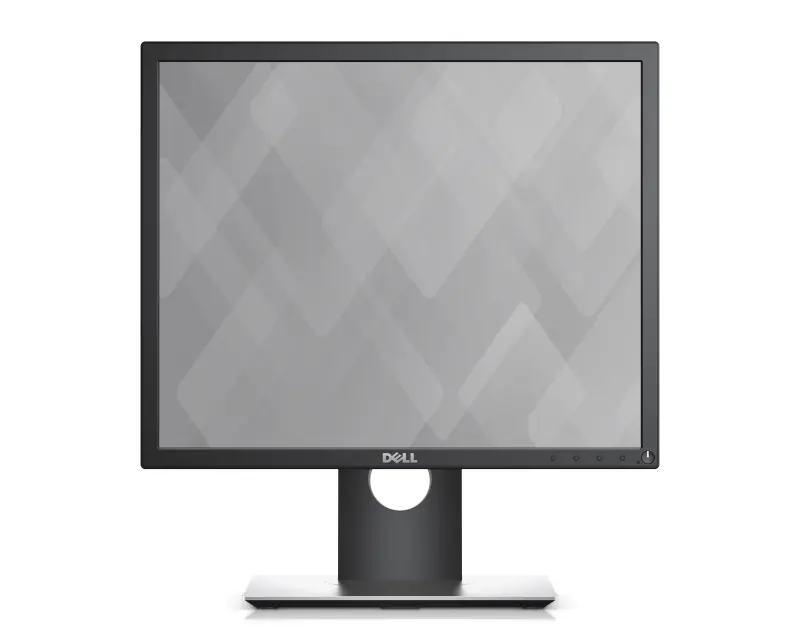 DELL 19 inch P1917S Professional IPS 5:4 monitor - Glavna slika