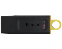 KINGSTON 128GB DataTraveler Exodia USB 3.2 Gen1 DTX/128GB 