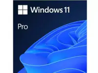 MICROSOFT Microsoft Windows 11 Pro 64bit Eng Intl OEM DSP DVD FQC-10528 (24H2)