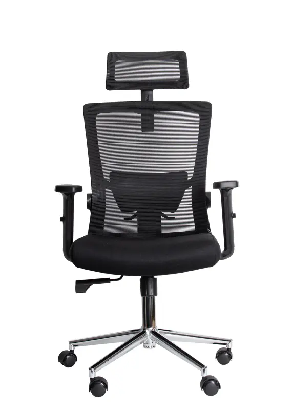 UGD Ergonomska kancelarijska stolica UGD Axis D41 - Glavna slika